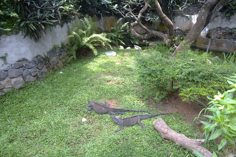 Sri Lanka, Colombo, Dehiwala Zoo